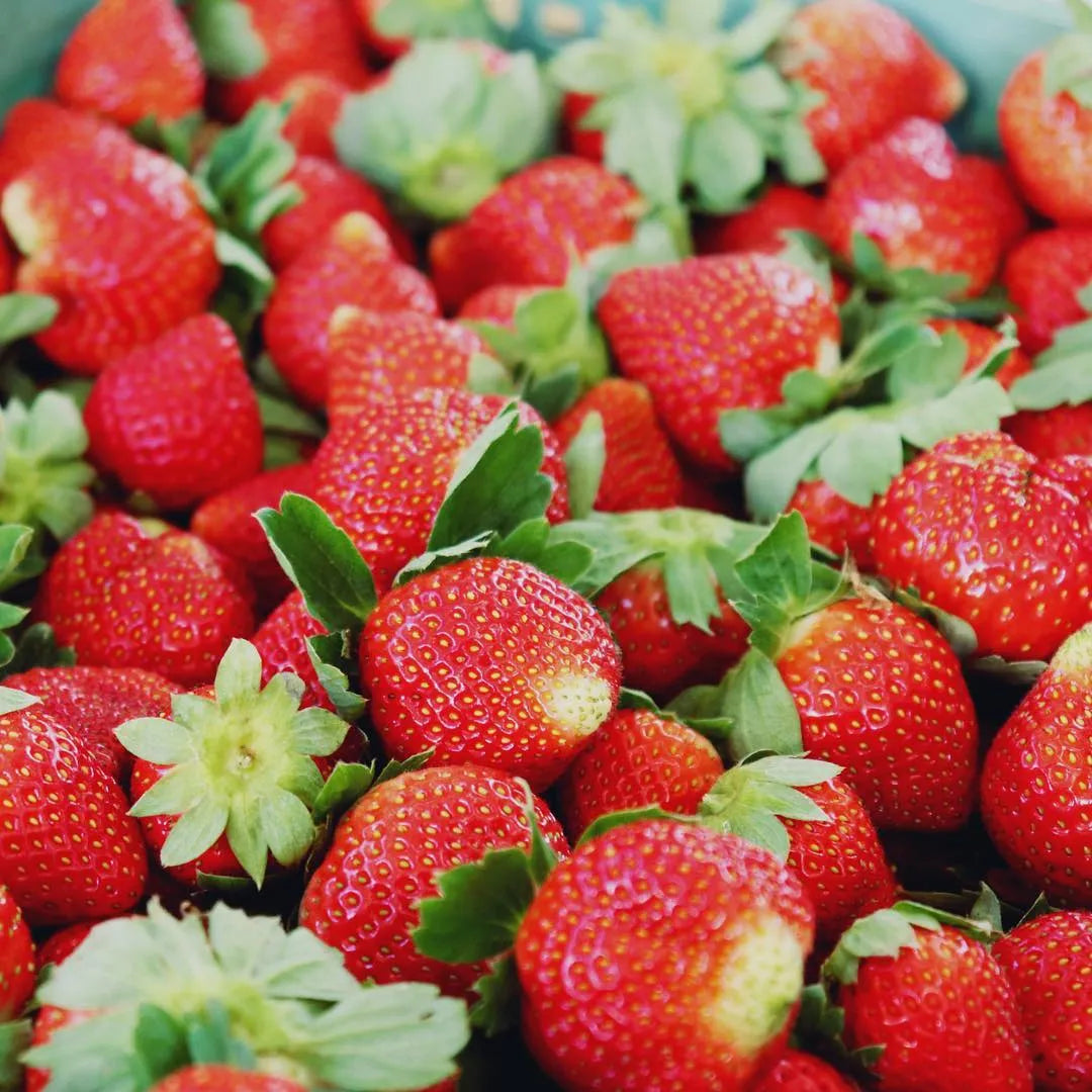 Fresh Sweet Strawberry Seeds (Hybrid) - (Pack of 100)