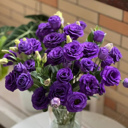 Beautiful Mixed Rose Flower Seeds - For Your Garden 🌸(Pack of 200 Seeds) 🌸