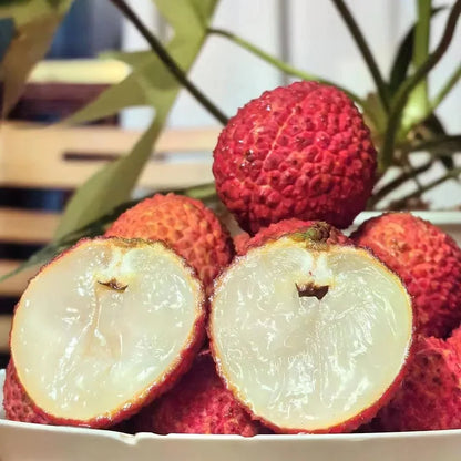 Healthy Lychee Fruit Seeds - (Pack of 100 Seeds)