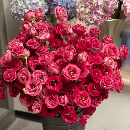 Beautiful Mixed Rose Flower Seeds - For Your Garden 🌸(Pack of 200 Seeds) 🌸
