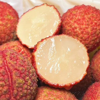 Healthy Lychee Fruit Seeds - (Pack of 100 Seeds)