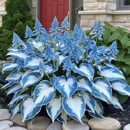 From Seed to Stunning – Hosta Magic 🌿Rare Hosta Seeds🌿