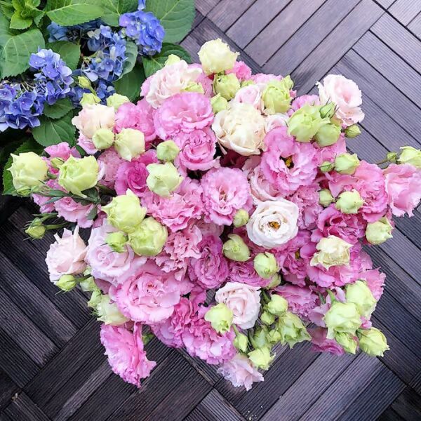 Beautiful Mixed Rose Flower Seeds - For Your Garden 🌸(Pack of 200 Seeds) 🌸