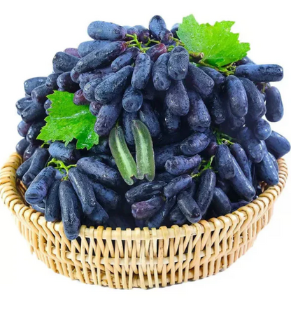 Sweet Sapphire Grape Seeds ( Pack of 200 Seeds )