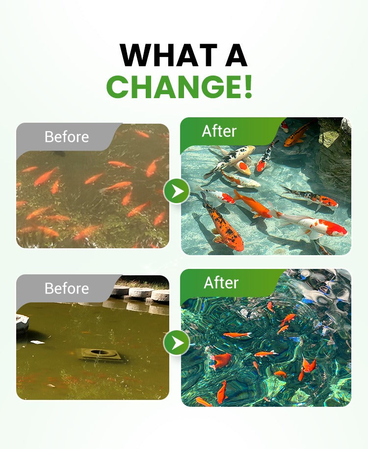 500g Premium Pond Care Powder | Water Clarifier & Algae Control 🐟🌊🔬 | 🔥Buy 1 Get 1 Free🔥