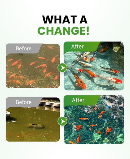 500g Premium Pond Care Powder | Water Clarifier & Algae Control 🐟🌊🔬 | 🔥Buy 1 Get 1 Free🔥