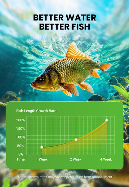 500g Premium Pond Care Powder | Water Clarifier & Algae Control 🐟🌊🔬 | 🔥Buy 1 Get 1 Free🔥