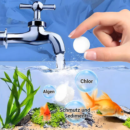 ♻️💧Powerful water purification tablet for aquariums | 🔥Buy 1 Get 1 Free🔥