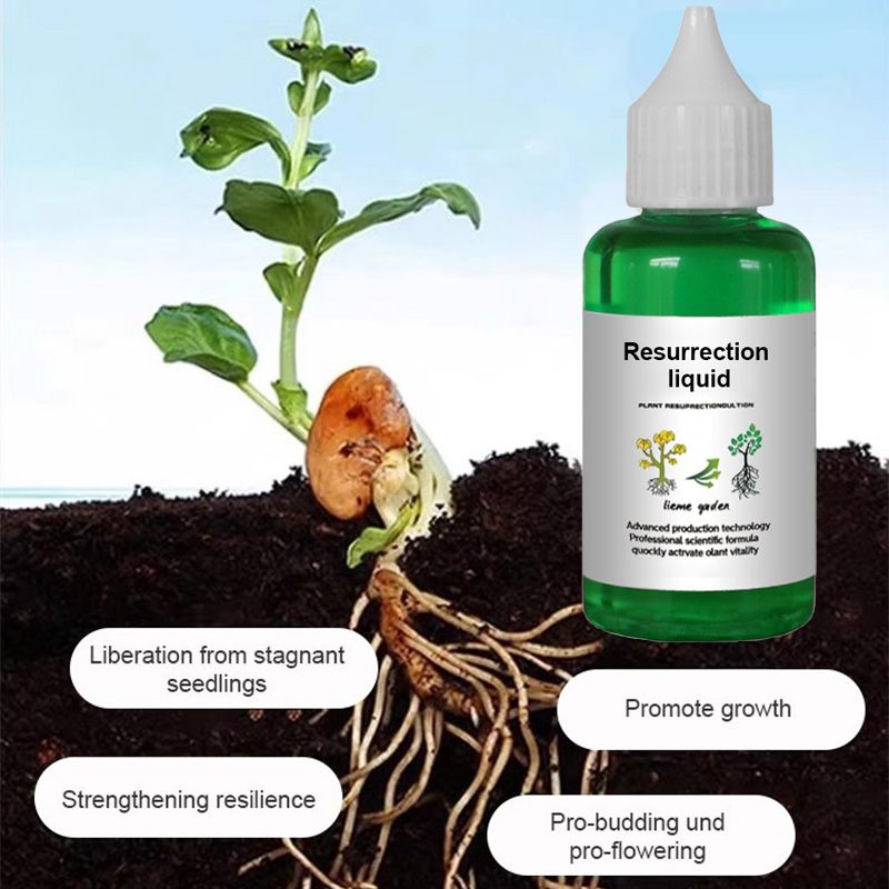👍[Recommended by plant experts]🌿Plant and Flower Activation Liquid Solution- (BUY 3 GET 1 FREE)